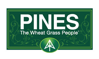 PINES INTERNATIONAL INC